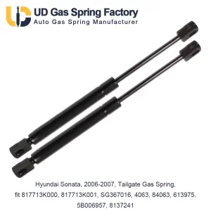 Hyundai Sonata, 2006-2007, Tailgate Gas Spring, fit 817713K000, 817713K001, SG367016, 4063, 84063, 613975, 5B006957, 8137241